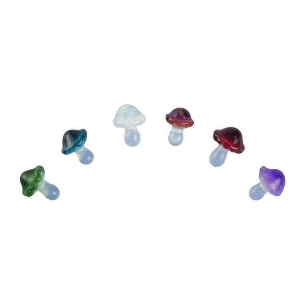 These are Glass Mushroom Trinkets from Technicolor Tonys available at Ritual Colorado. Featuring ghost colored stems with vibrant caps these are a fun glass addition to any space.