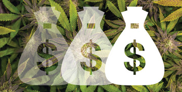How to Save Money on Weed