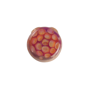 This is the Serendipity Honeycomb Disc Pendant by Technicolor Tony available at Ritual Colorado. A sleek jewelry piece with two holes in the top so that you can string it onto your favorite necklace.